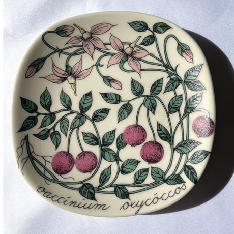 ARABIA エステリトムラ Botanica ツルコケモモ Vaccinium oxycoccos
