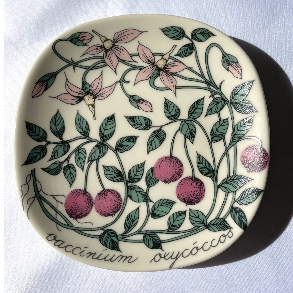 ARABIA エステリトムラ Botanica ツルコケモモ Vaccinium oxycoc