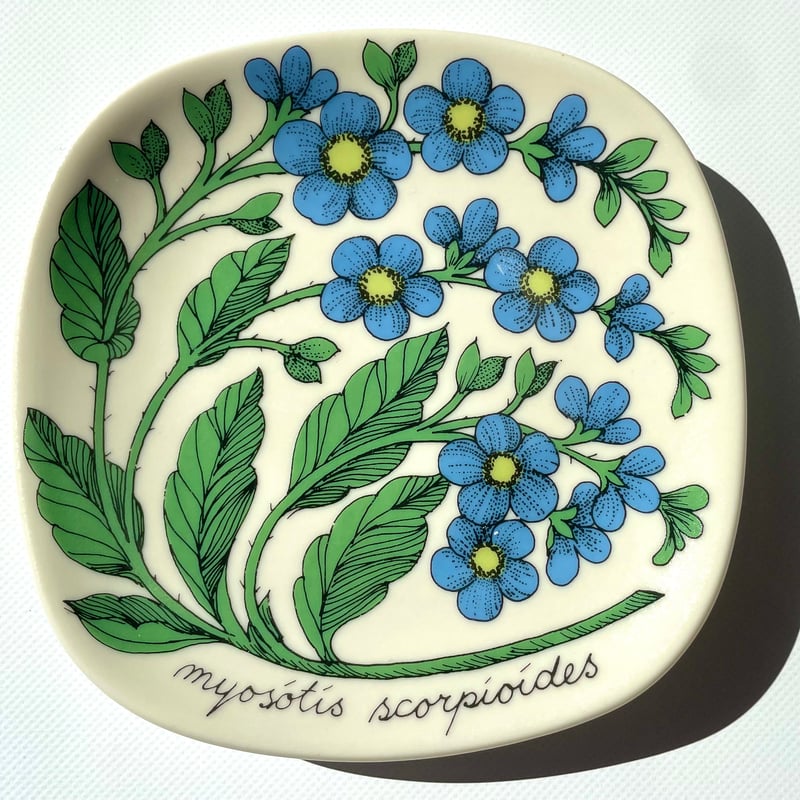 アラビア ボタニカ プレート myosotis scorpioides 勿忘草 アラビア ボタニカ プレート myosotis scorpioides 勿忘草