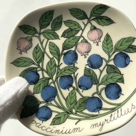 ARABIA エステリトムラ Botanica vaccinium myrtillus ビルベリー