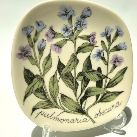 ARABIA エステリトムラ Botanica pulmonaria obscura プルモナリア