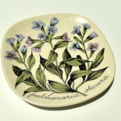 ARABIA エステリトムラ Botanica pulmonaria obscura プルモナリア