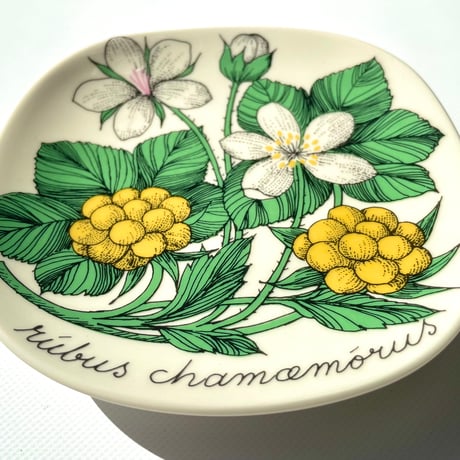ARABIA エステリトムラ Botanica Rubus chamemorus クラウドベリー