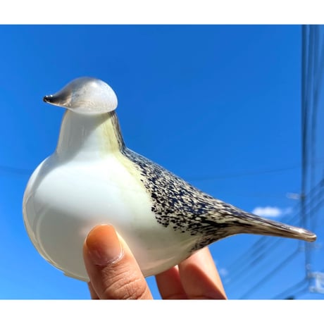 限定 Oiva Toikka オイバトイッカ Wagtail イッタラ 箱付き