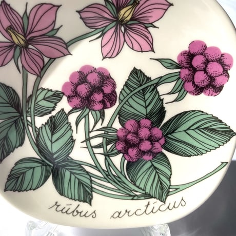 ARABIA エステリトムラ Botanica チシマイチゴ Rubus arcticus