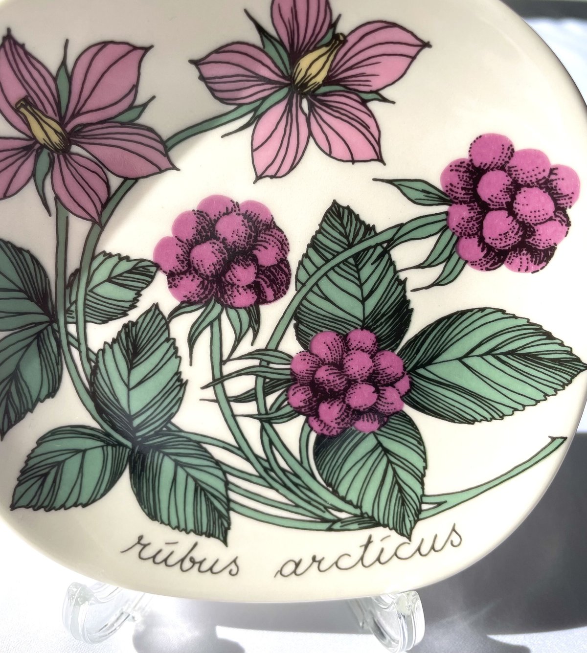 ARABIA エステリ・トムラ ボタニカ /