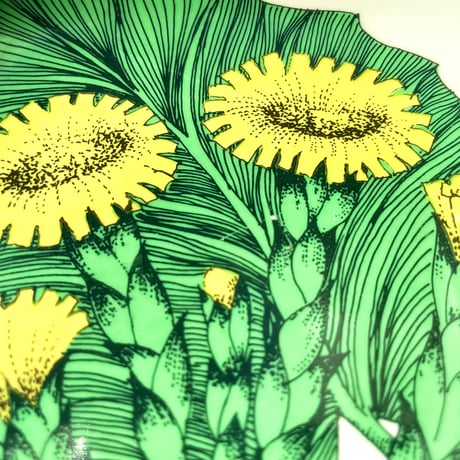 ARABIA エステリトムラ Botanica Tussilago farfara フキタンポポ