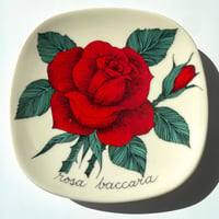 ARABIA エステリトムラ Botanica Rosa Baccara 赤いバラ
