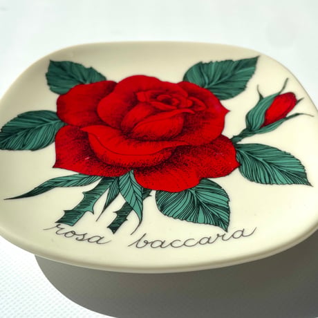 ARABIA エステリトムラ Botanica Rosa Baccara 赤いバラ