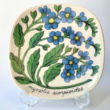 ARABIA エステリトムラ Botanica Myosotis scorpioides ワスレナグサ