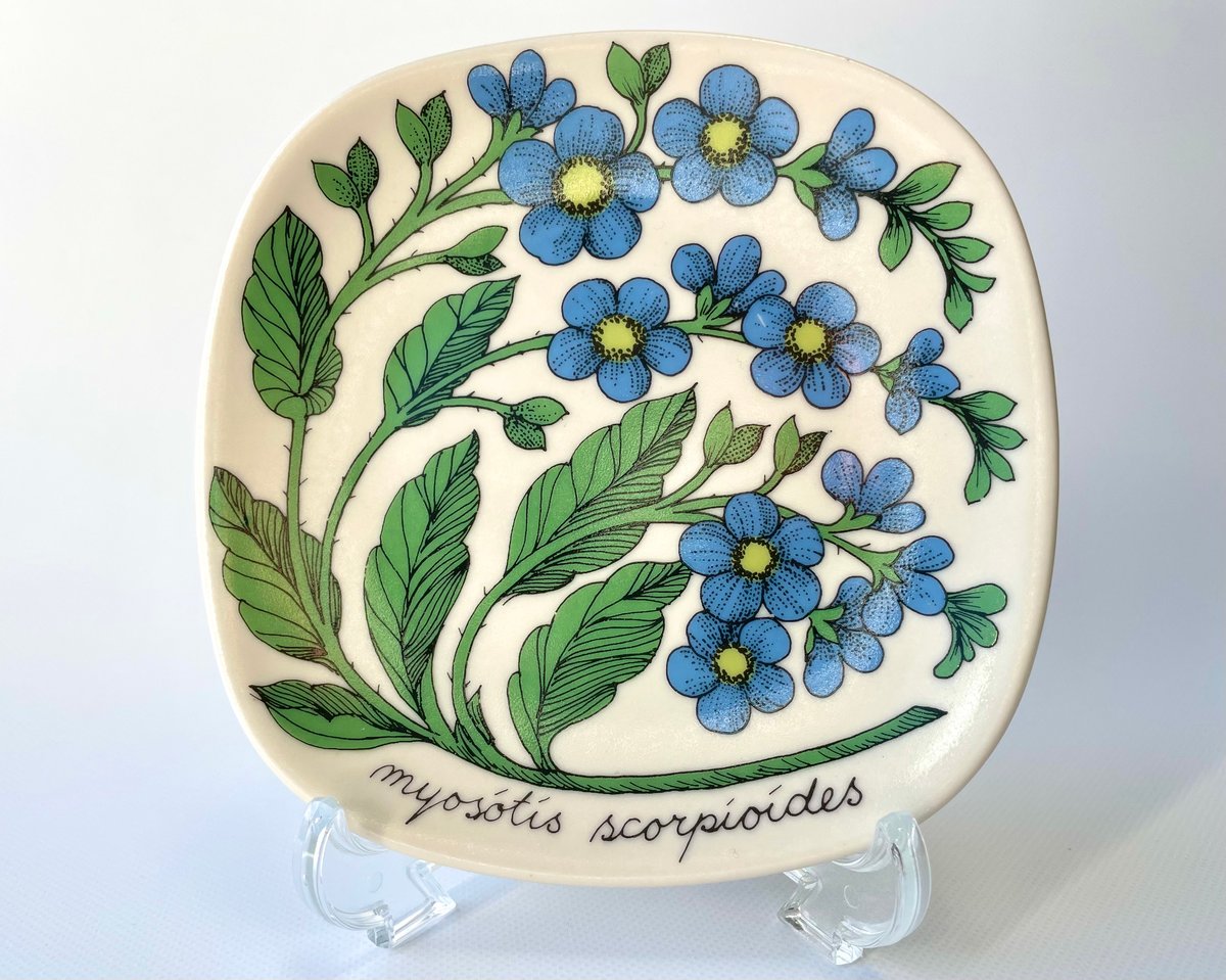 ARABIA エステリトムラ Botanica Myosotis scorpioides ワス