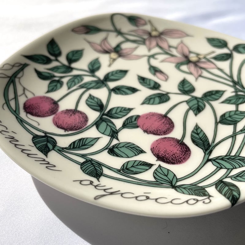 ARABIAエステリ・トムラ ボタニカ/