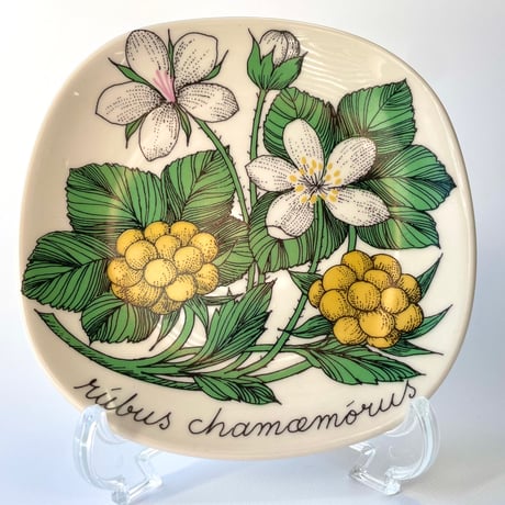 ARABIA エステリトムラ Botanica Rubus chamemorus クラウドベリー