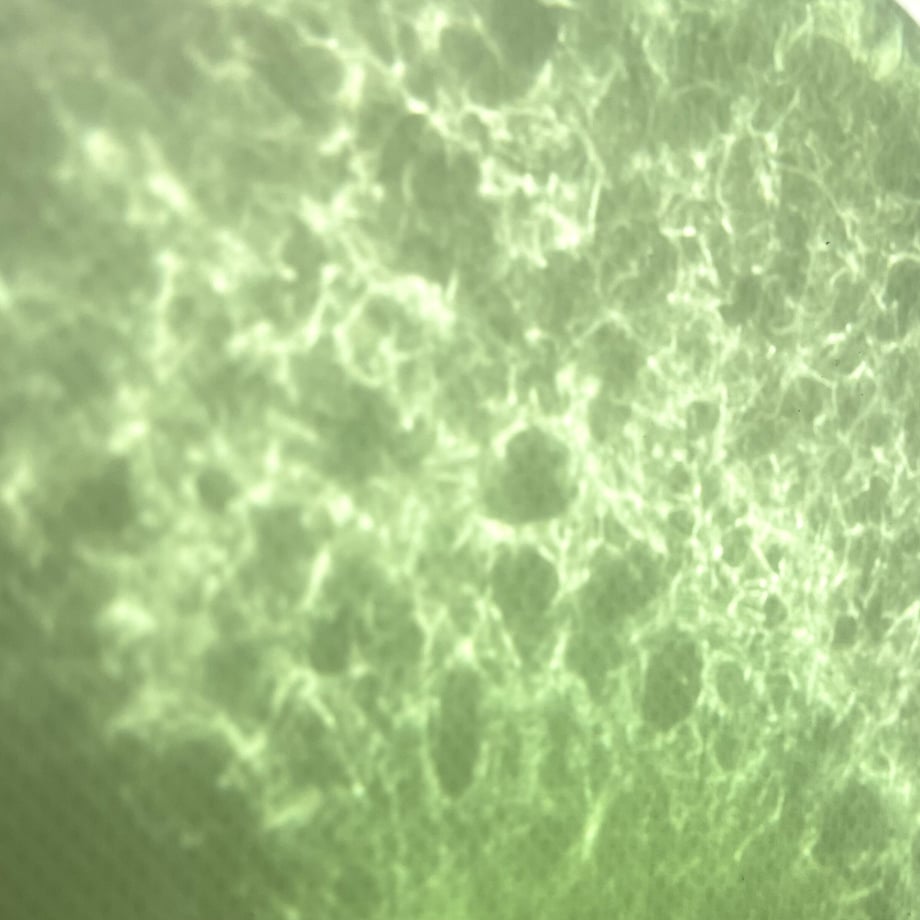 647e894d7ab880002e1185d0