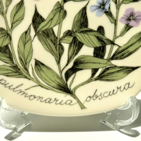 ARABIA エステリトムラ Botanica pulmonaria obscura プルモナリア
