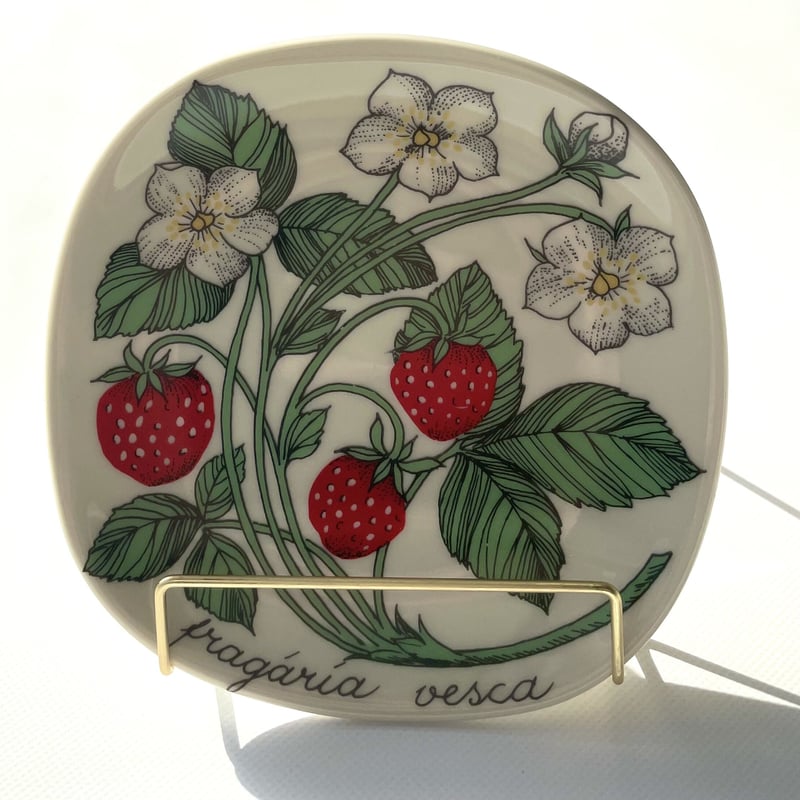 ARABIA エステリトムラ Botanica Fragaria vesca 野いちご | K