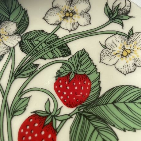 ARABIA エステリトムラ Botanica Fragaria vesca 野いちご
