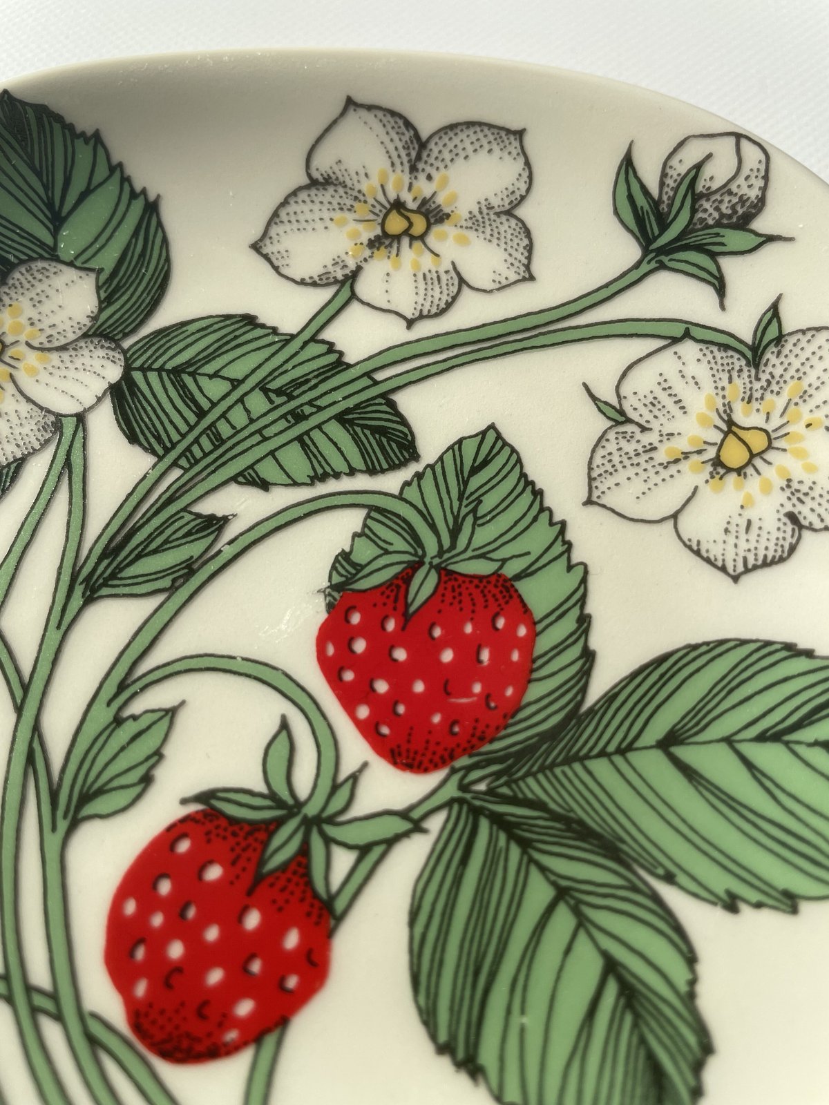 ARABIA エステリトムラ Botanica Fragaria vesca 野いちご | K