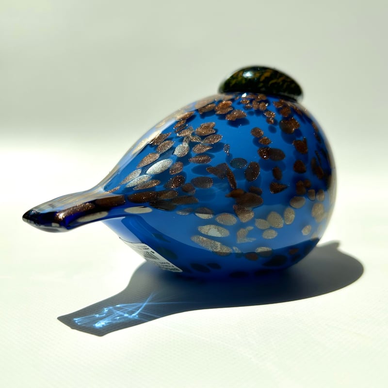 週末限定お値下げ　イッタラバード　ブルーフィンチ 51WoQ6nNQJL._UF350,350_QL50_.jpg