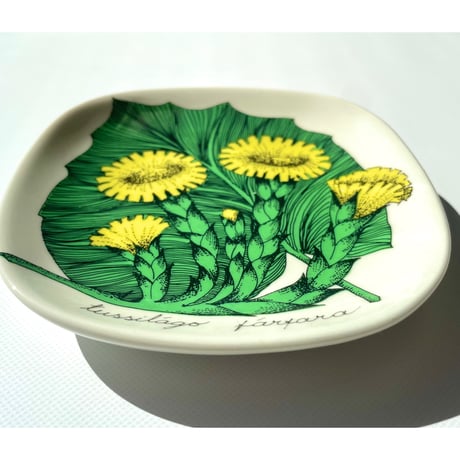 ARABIA エステリトムラ Botanica Tussilago farfara フキタンポポ