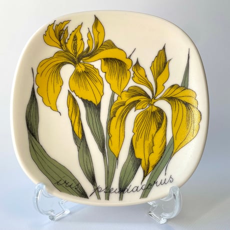 ARABIA エステリトムラ Botanica Iris pseudacorus キショウブ