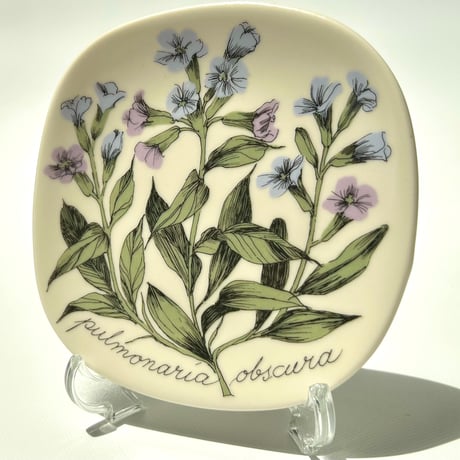 ARABIA エステリトムラ Botanica pulmonaria obscura プルモナリア