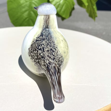 限定 Oiva Toikka オイバトイッカ Wagtail イッタラ 箱付き