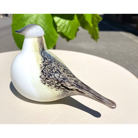 限定 Oiva Toikka オイバトイッカ Wagtail イッタラ 箱付き