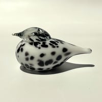 オイバ・トイッカ Small Goldcrest スモールゴールドクレスト 白黒 Oiva Toikka