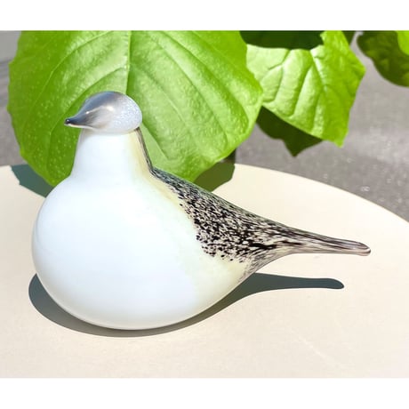 限定 Oiva Toikka オイバトイッカ Wagtail イッタラ 箱付き