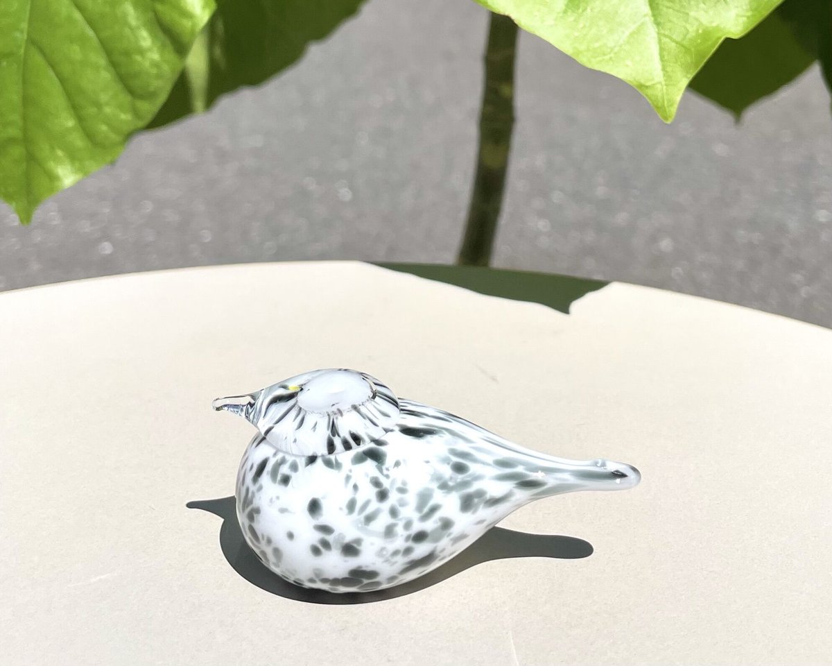 オイバ・トイッカ Small Goldcrest スモールゴールドクレスト