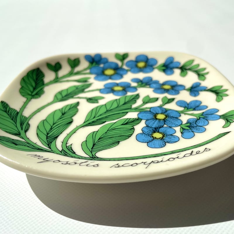 ARABIA エステリトムラ Botanica Myosotis scorpioides ワス