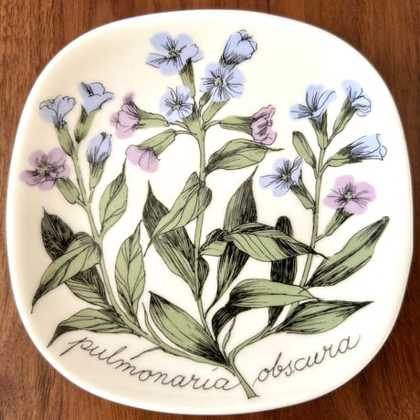 ARABIA エステリトムラ Botanica pulmonaria obscura プルモナリア