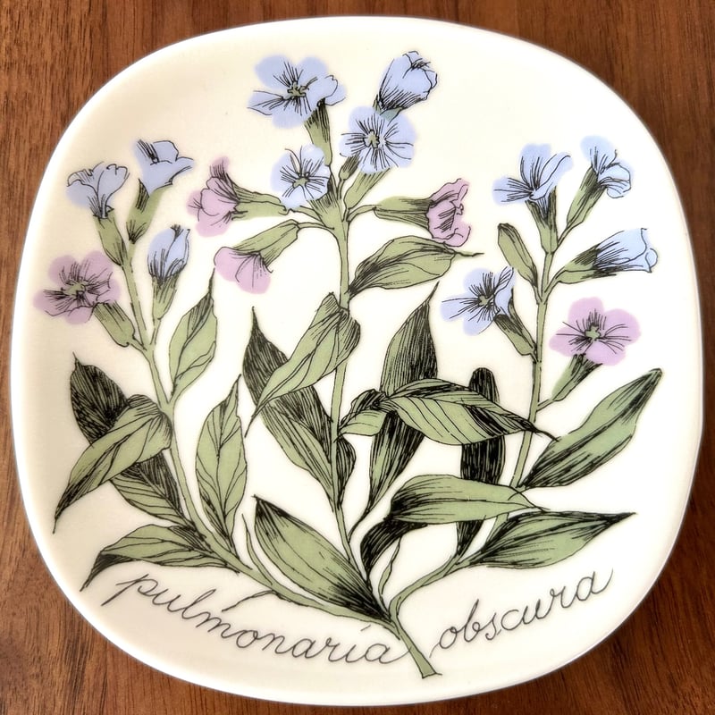 ARABIA エステリ・トムラ ボタニカ