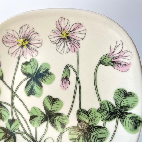 ARABIA エステリトムラ Botanica Oxalis acetosella コミヤマカタバミ