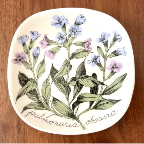 ARABIA エステリトムラ Botanica pulmonaria obscura プルモナリア