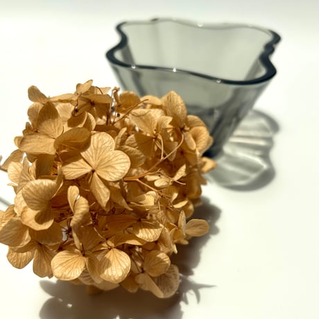 iittala Alvar Aalto Collection ユニークカラー ボウル アルヴァ・アアルト