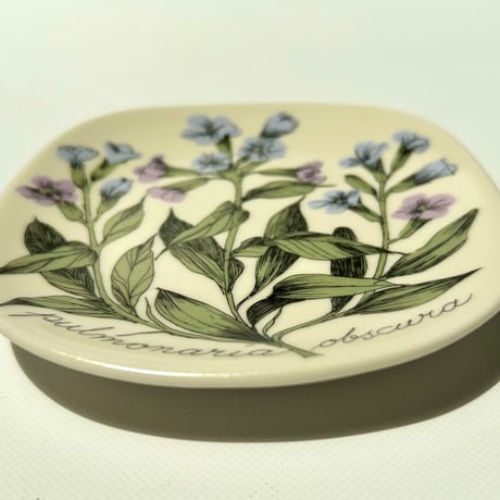 ARABIA エステリトムラ Botanica pulmonaria obscura プルモナリア