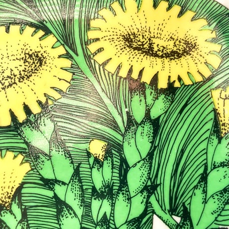 ARABIA エステリトムラ Botanica Tussilago farfara フキタンポポ