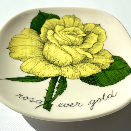 ARABIA エステリトムラ Botanica Rosa Ever Gold 黄色いバラ