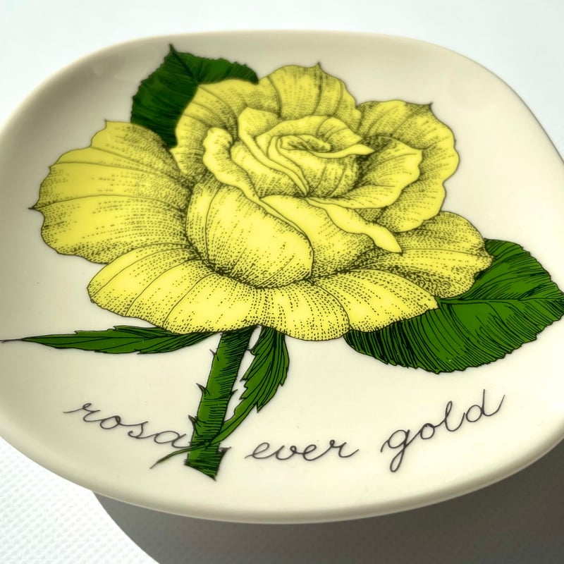 ARABIA エステリトムラ Botanica Rosa Ever Gold 黄色いバラ | 