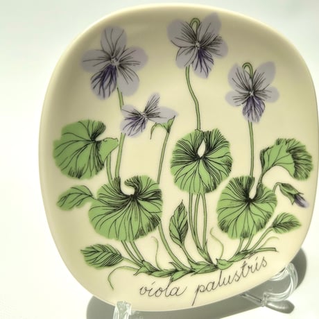 ARABIA エステリトムラ Botanica viola palustris ビオラ・パルストリス