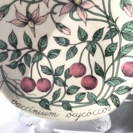 ARABIA エステリトムラ Botanica ツルコケモモ Vaccinium oxycoccos