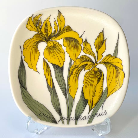 ARABIA エステリトムラ Botanica Iris pseudacorus キショウブ