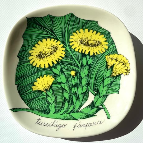 ARABIA エステリトムラ Botanica Tussilago farfara フキタンポポ