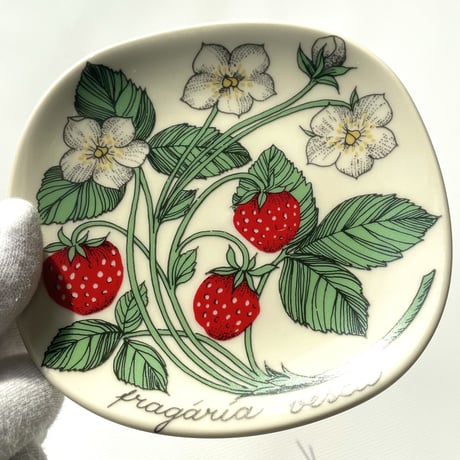 ARABIA エステリトムラ Botanica Fragaria vesca 野いちご
