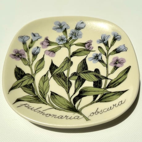 ARABIA エステリトムラ Botanica pulmonaria obscura プルモナリア