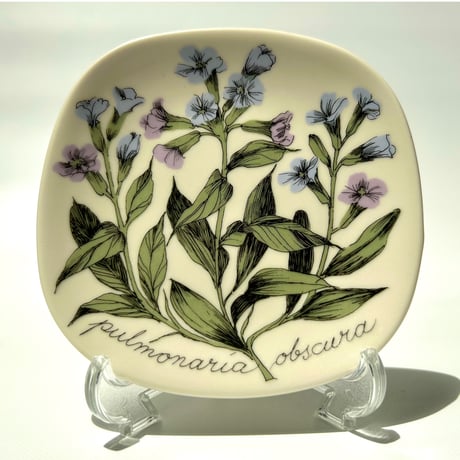 ARABIA エステリトムラ Botanica pulmonaria obscura プルモナリア