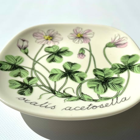 ARABIA エステリトムラ Botanica Oxalis acetosella コミヤマカタバミ