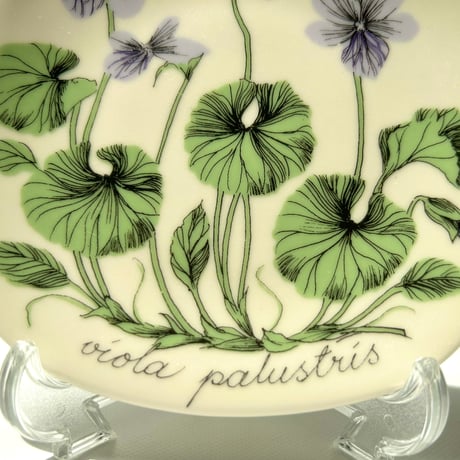 ARABIA エステリトムラ Botanica viola palustris ビオラ・パルストリス